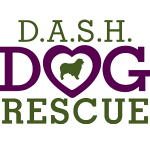 Helping Rescue Dogs Find Their Forever Homes - Organic Dog Treats Help Animal Shelter, Dog Shelter, and Humane Society Facilities Increase Adoptions - Be Pawsitive Dog Treats - DASH Dog Rescue
