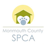 Helping Rescue Dogs Find Their Forever Homes - Organic Dog Treats Help Animal Shelter, Dog Shelter, and Humane Society Facilities Increase Adoptions - Be Pawsitive Dog Treats - Monmouth County SPCA