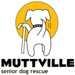 Helping Rescue Dogs Find Their Forever Homes - Organic Dog Treats Help Animal Shelter, Dog Shelter, and Humane Society Facilities Increase Adoptions - Be Pawsitive Dog Treats - Muttville Senior Dog Rescue
